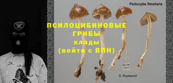 эйфоретик Алексин