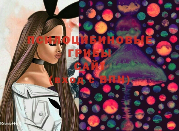 прущая мука Алзамай