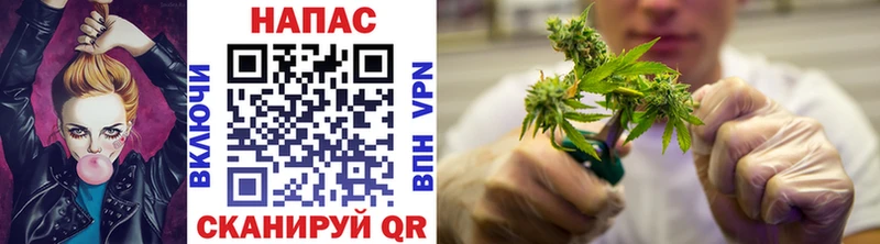 купить закладку Сосновый Бор Канабис White Widow